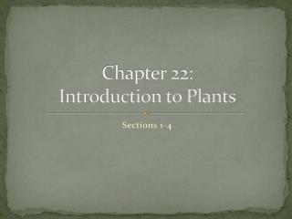 Chapter 22: Introduction to Plants