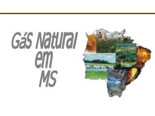 Gás Natural em MS