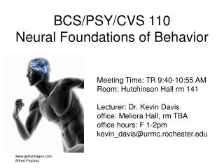 BCS/PSY/CVS 110 Neural Foundations of Behavior