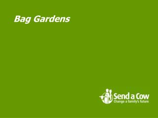 Bag Gardens