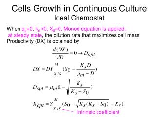 Cells Growth in Continuous Culture Ideal Chemostat