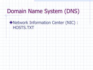 Domain Name System (DNS)