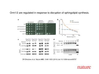 DK Breslow et al. Nature 463 , 1048-1053 (2010) doi:10.1038/nature08787