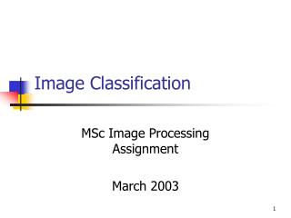 Image Classification