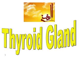 Thyroid Gland