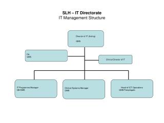 SLH – IT Directorate IT Management Structure
