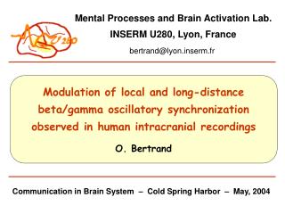 Communication in Brain System – Cold Spring Harbor – May, 2004