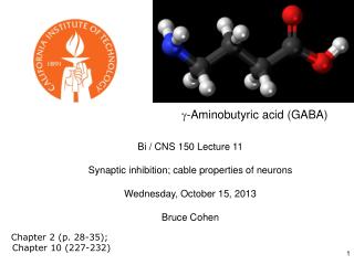 Bi / CNS 150 Lecture 11 Synaptic inhibition; cable properties of neurons