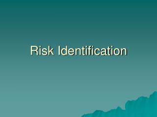 Risk Identification