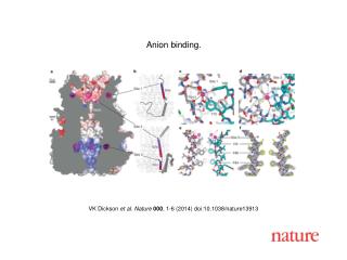 VK Dickson et al. Nature 000 , 1-6 (2014) doi:10.1038/nature13913