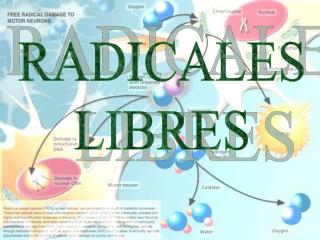 RADICALES LIBRES