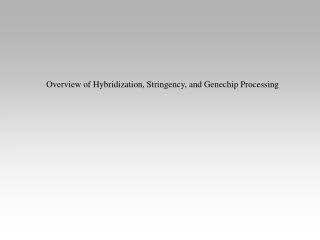 Overview of Hybridization, Stringency, and Genechip Processing