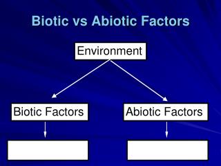 Biotic vs Abiotic Factors