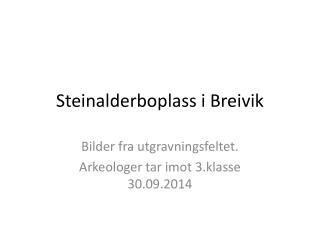Steinalderboplass i Breivik