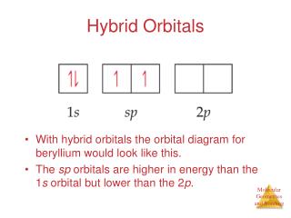 Hybrid Orbitals