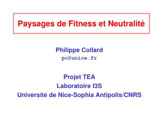 Paysages de Fitness et Neutralité