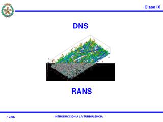 DNS RANS