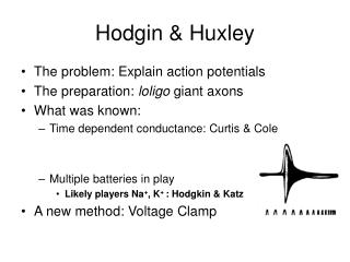 Hodgin &amp; Huxley