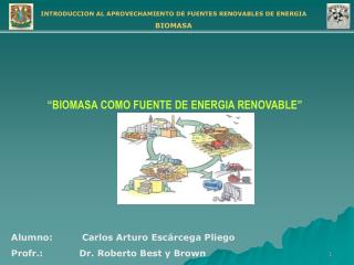 Alumno: 	Carlos Arturo Escárcega Pliego Profr.: Dr. Roberto Best y Brown
