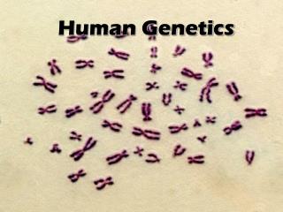 Human Genetics