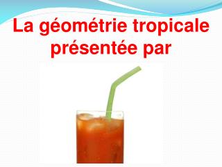 La géométrie tropicale présentée par