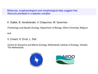 Molecular, ecophysiological and morphological data suggest that