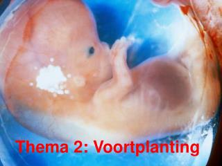 Thema 2: Voortplanting