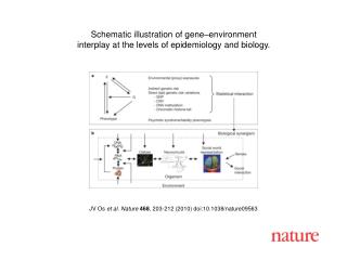 JV Os et al. Nature 468 , 203-212 (2010) doi:10.1038/nature09563