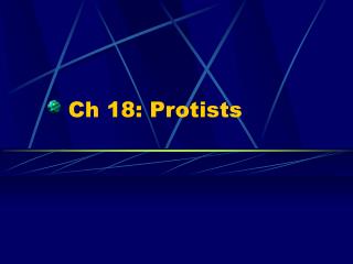 Ch 18: Protists