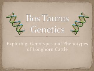 Bos Taurus Genetics