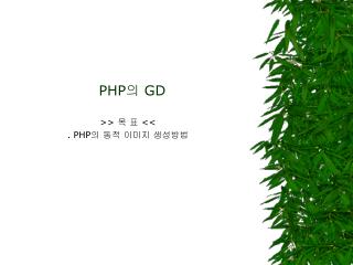PHP 의 GD