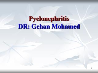 Pyelonephritis DR: Gehan Mohamed