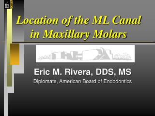 Location of the ML Canal in Maxillary Molars