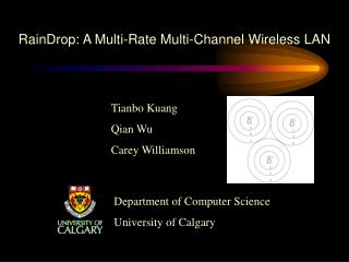 RainDrop: A Multi-Rate Multi-Channel Wireless LAN