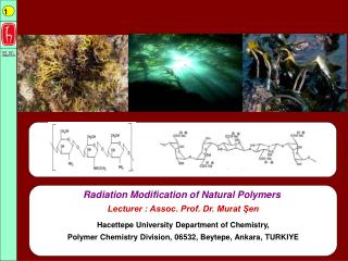 Radiation Modification of Natural Polymers Lecturer : Assoc. Prof. Dr. Murat Şen