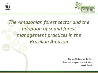 Marco W. Lentini, M. Sc. Amazon program coordinator WWF Brazil