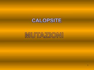 MUTAZIONI