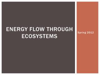 Energy Flow through ecosystems