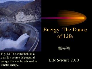 Energy: The Dance of Life