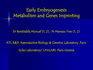 Early Embryogenesis Metabolism and Genes Imprinting