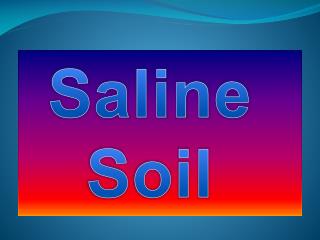 Saline Soil