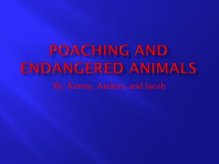 Poaching And Endangered Animals