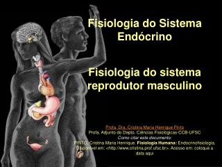 Fisiologia do Sistema Endócrino Fisiologia do sistema reprodutor masculino