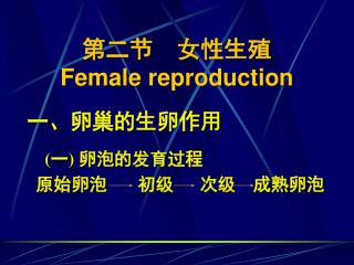 第二节 女性生殖 Female reproduction