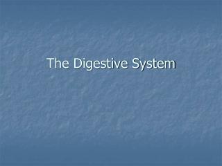 The Digestive System