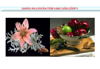 GIAÙO AN LUYEÄN TÖØ VAØ CAÂU LÔÙP 5