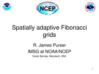 Spatially adaptive Fibonacci grids