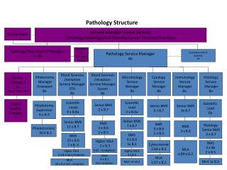 Pathology Structure