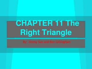 CHAPTER 11 The Right Triangle