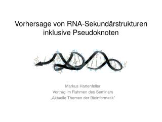 Vorhersage von RNA-Sekundärstrukturen inklusive Pseudoknoten